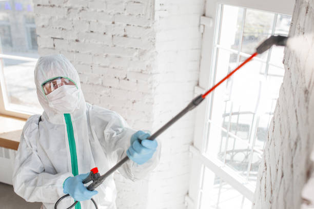 Best Air Quality Testing for Mold Spores  in Portola Valley, CA