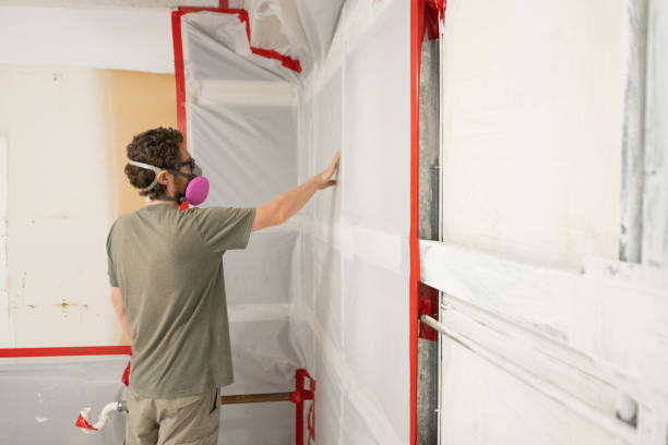 Best Attic Mold Removal  in Portola Valley, CA