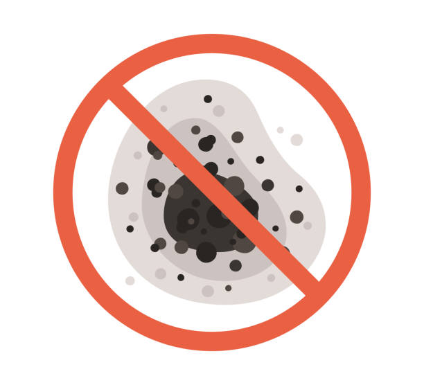 Best Forensic Mold Investigation  in Portola Valley, CA