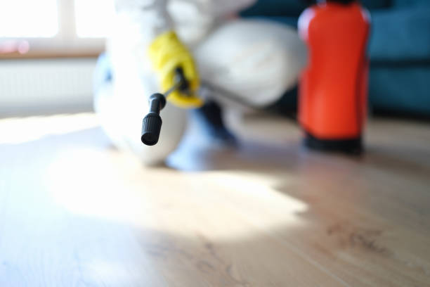  Portola Valley, CA Mold Removal Pros
