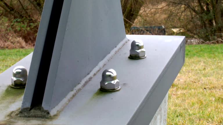 Best Asbestos and Lead Testing During Mold Inspection  in Portola Valley, CA